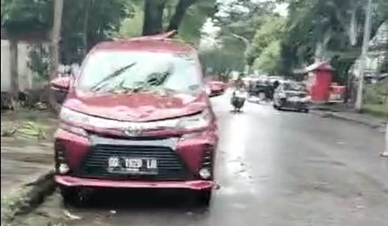 Pohon Tumbang Timpa Dua Mobil