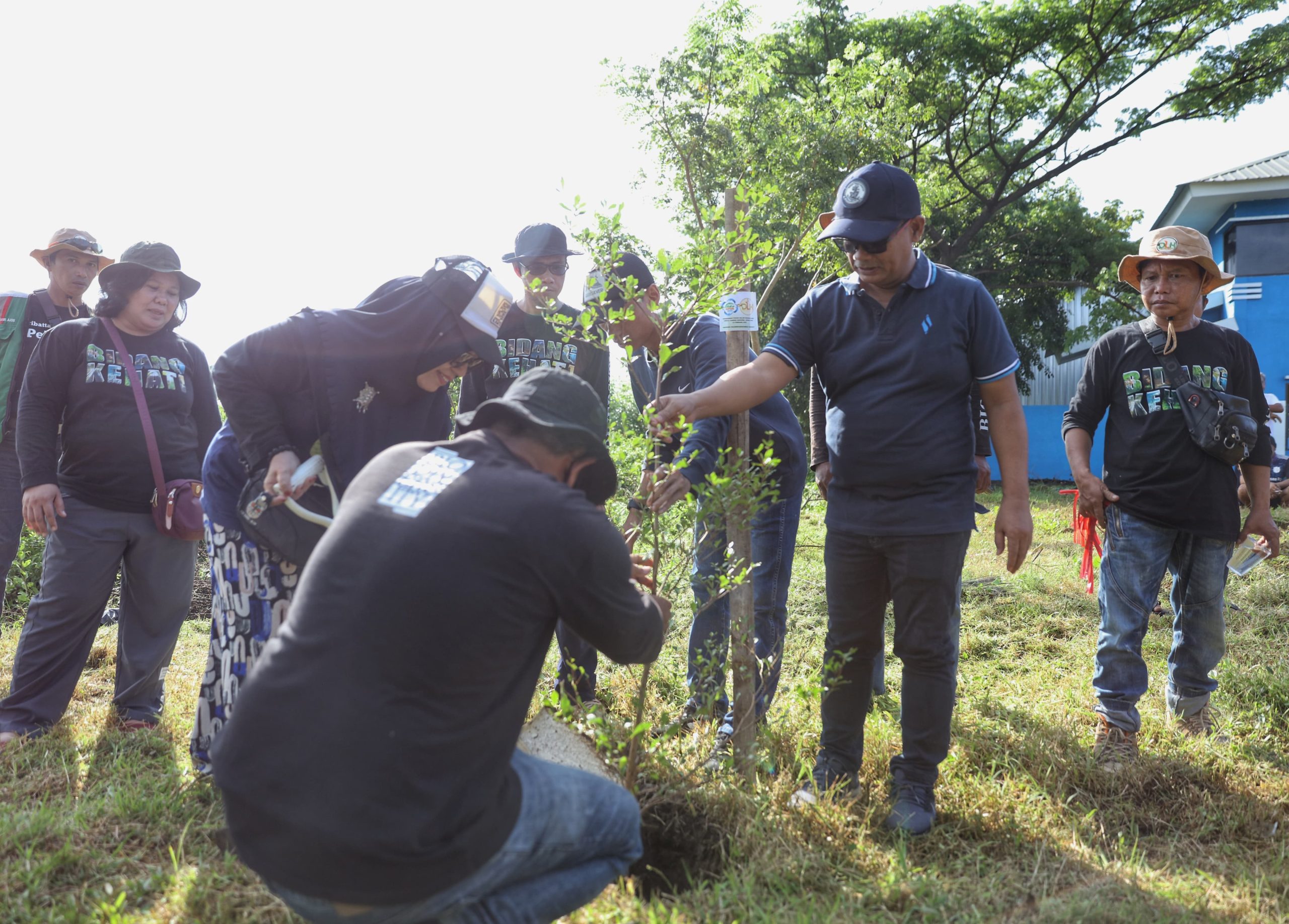 Hari Peduli Sampah Nasional, DLH Makassar Targetkan 200 Pohon Ketapang Kencana
