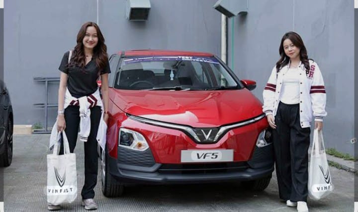 Bagaimana Pengaruh Skema Berlangganan Baterai EV Bagi Masyarakat dan VinFast Indonesia